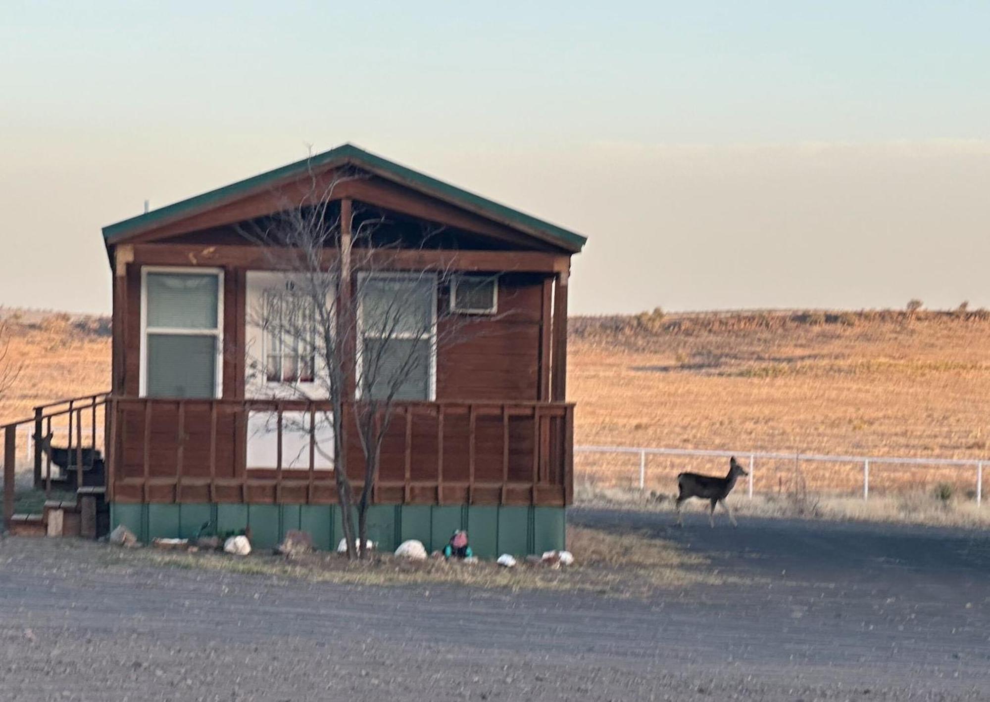 Mountain View Lodge Fort Davis Buitenkant foto